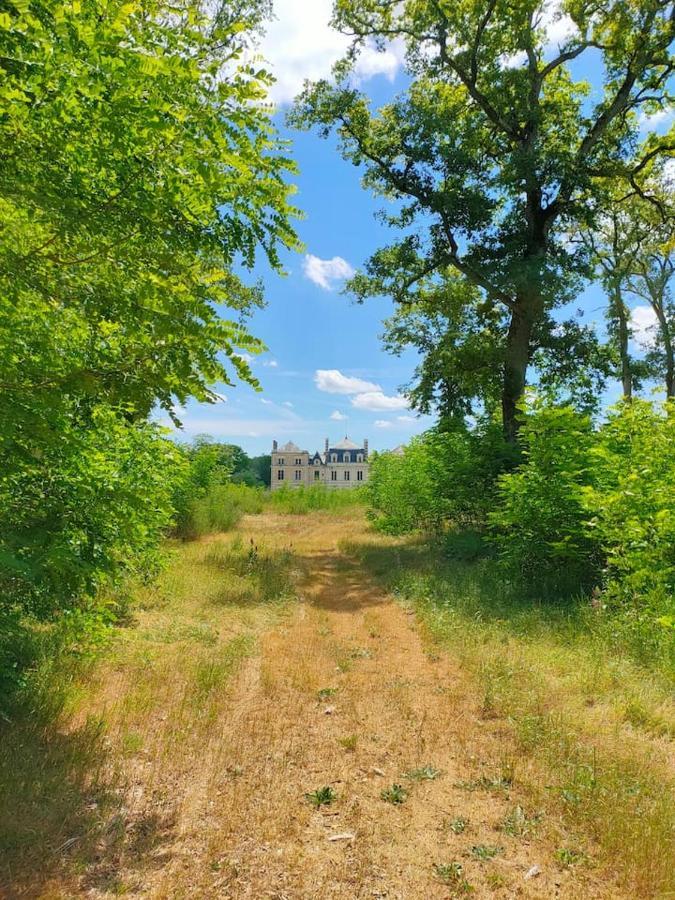 Вілла Chateau Des Nouies Сель-сюр-Шер Екстер'єр фото